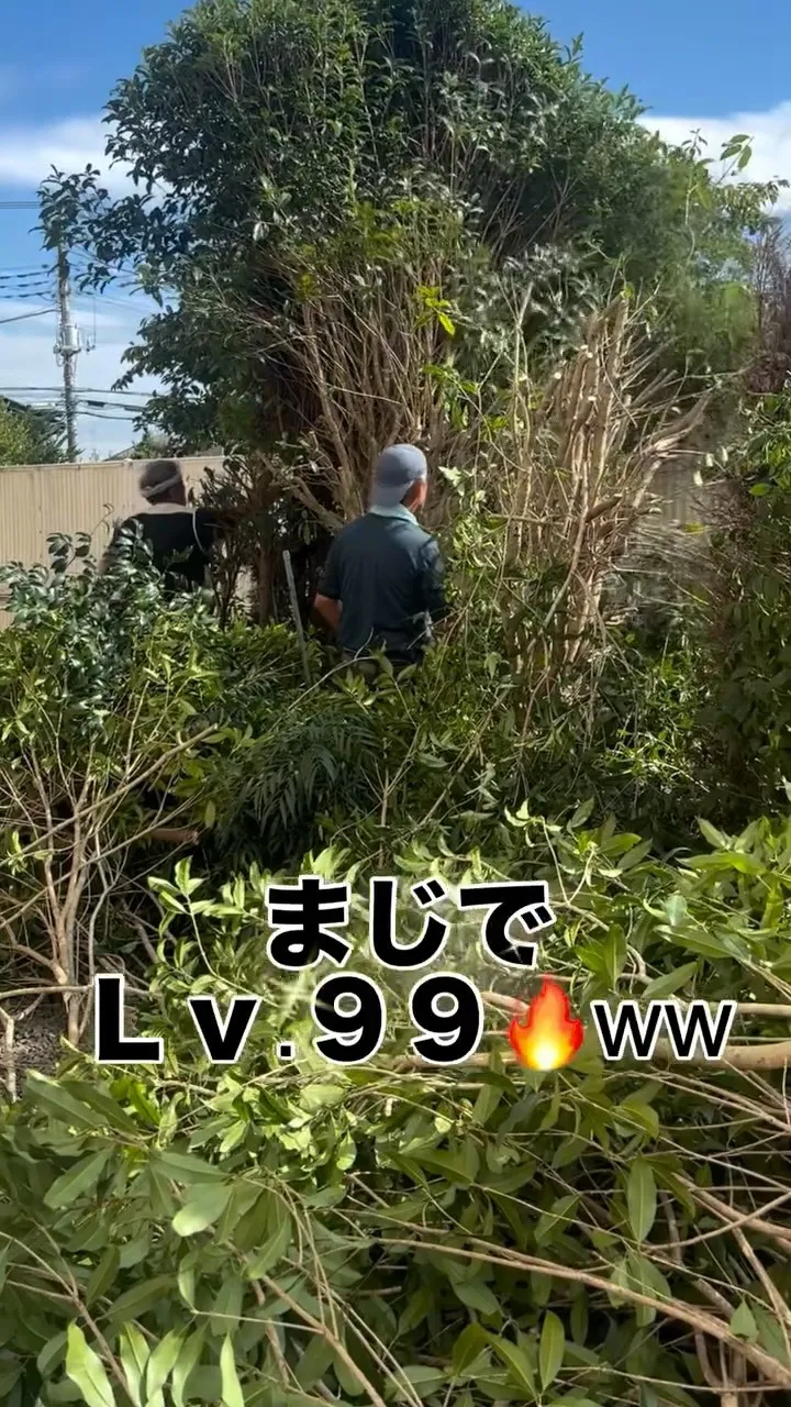 #年の功 #職人あるある #人生EXPカンスト#安泰キレイ家...